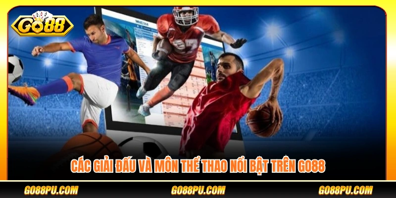 Những giải đấu và bộ môn thể thao hấp dẫn
